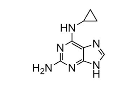 Cyclopropyldiaminopurine Abacavir.
