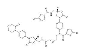 Rivaroxaban related Compound J.
