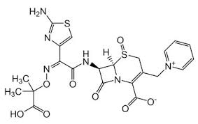 Ceftazidime Sulfoxide.